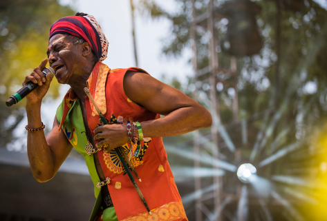 antibalas bahidora-davidbrendanhall