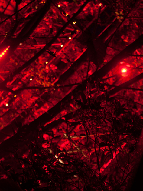 M02-GLOW-UTOPIAN-CITIES_007